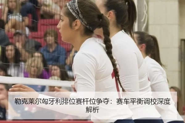 lei-ke-lai-er-xiong-ya-li-pai-wei-sai-gan-wei-zheng-duo-sai-che-ping-heng-diao-xiao-shen-du-jie-xi-1-196.jpg